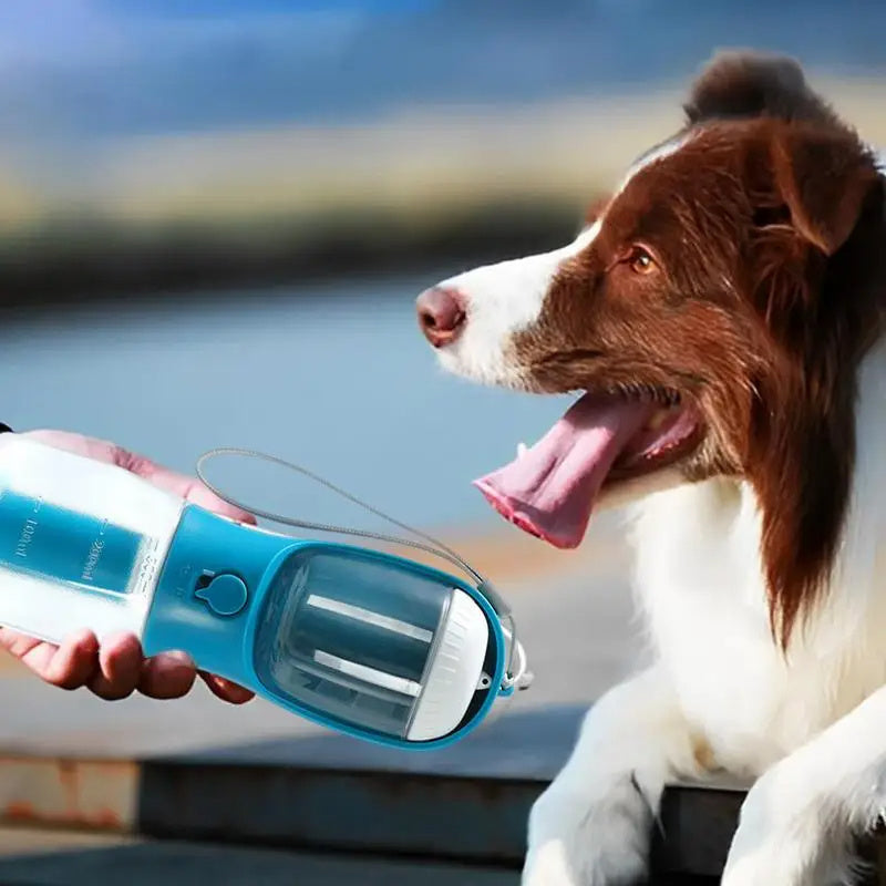Three-in-one Dog Water Cup